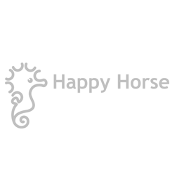 Happy Horse