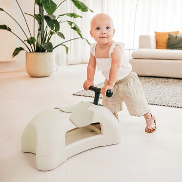 Gåvogne og gåbiler