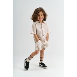 The New Smitty Shorts - Humus Striped