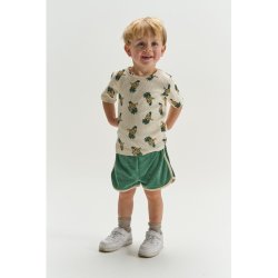 The New Terry Shorts - Posy green