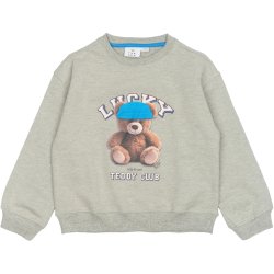 The New Pendra Oversize Adult Sweatshirt - Light Grey Melange