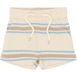The New Theodor Shorts - Multi 
