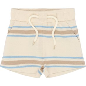 The New Theodor Shorts - Multi 