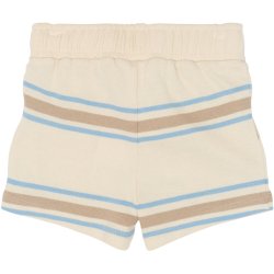 The New Theodor Shorts - Multi 