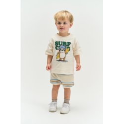 The New Theodor Shorts - Multi 