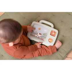 Little Dutch Musik Tv - Farm 