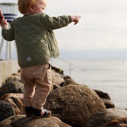 Wheat Termojakke Loui - Green tea