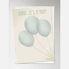 Vissevasse Jubii It's A Boy Kort - A6