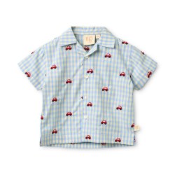 Fl�ss Albert Skjorte - Blue gingham 