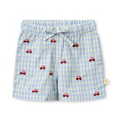 Fl�ss Albert Shorts - Blue gingham 