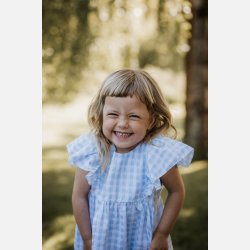 Fliink Pari Top PARI - Dream blue check 