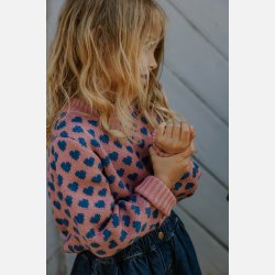 Fliink Janie Pullover - Ash rose