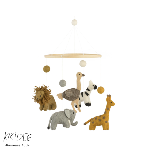 Baby Bello Uro - Wildlife