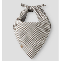 Lil' Atelier Ternet T�rkl�de - Shitake