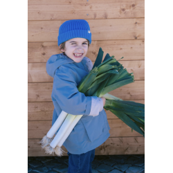 MarMar Atlas Hue - Blueberry 