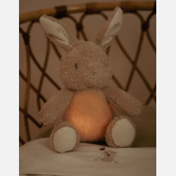 Little Dutch Bunny m. Lys og beroligende lyde