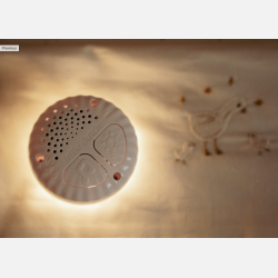 Little Dutch Bunny m. Lys og beroligende lyde