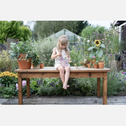 Little Dutch Spand Fairy Garden