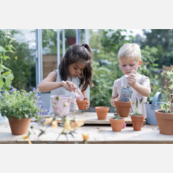 Little Dutch Spand Fairy Garden