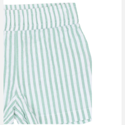 The New Tate Shorts - Creme de menthe striped 