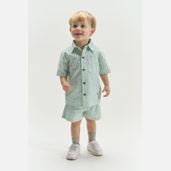 The New Tate Shorts - Creme de menthe striped 