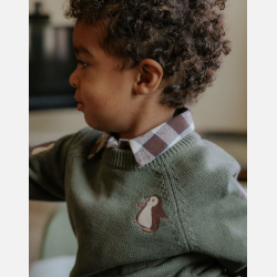 Fliink Mahdi Pingo Pullover - Beetle