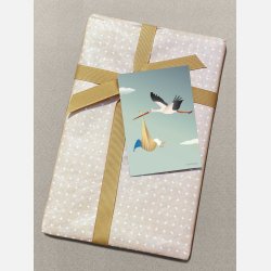 Vissevasse Bl Storke Kort - A7