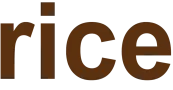 Rice 